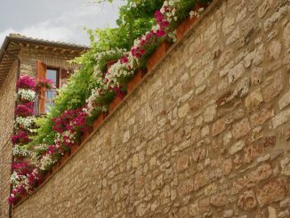 Premiazione “Balconi Fioriti e Infiorate” 2025 ad Assisi