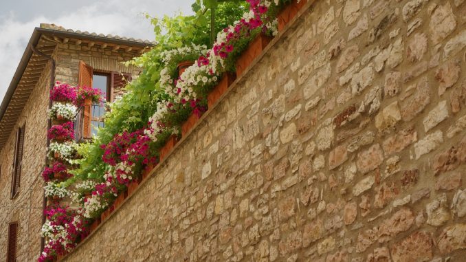 Premiazione “Balconi Fioriti e Infiorate” 2025 ad Assisi