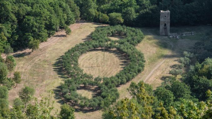 Concerto ad Assisi per la natura, una musica per la Terra