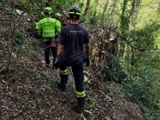 Tragedia nei boschi di Assisi, muore un uomo schiacciato da una pianta