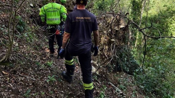 Tragedia nei boschi di Assisi, muore un uomo schiacciato da una pianta