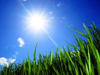 Assisi aderisce allo sciopero per il clima, sensibilizzare i ragazzi