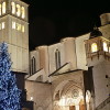 Papa Francesco accenderà da Roma albero Natale Basilica Assisi