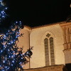 Natale ad Assisi il Presepe e Albero da zone tempesta Vaia