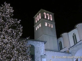 Assisi, accensione e benedizione albero e presepe terremotati