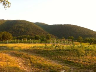 Sviluppo rurale, il futuro del parco del Monte Subasio e le opportunità