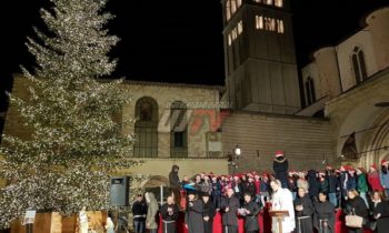 Accensione albero di Natale alla Basilica di San Francesco d'Assisi