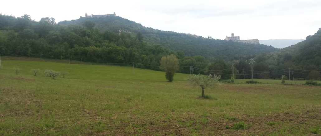 Paolo Ansideri, Assisi nel tempo presente, autonomia di cultura da religione e turismo