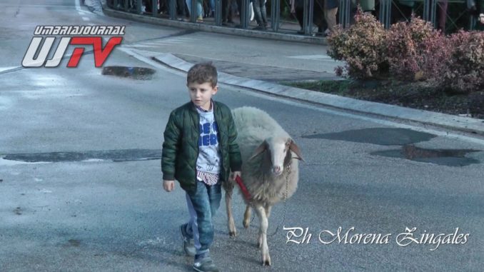 Piatto di Sant'Antonio corteo benedizione animali (1)
