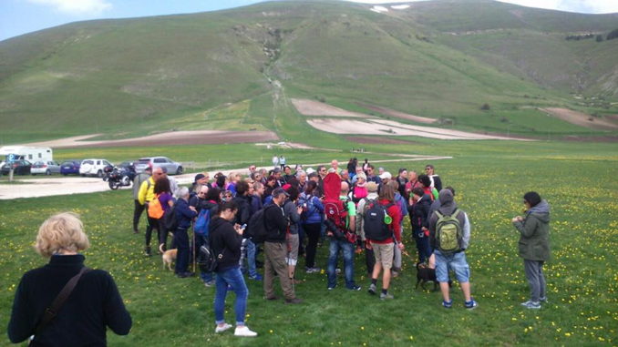 Pro Loco angelana organizza gita a Castelluccio di Norcia