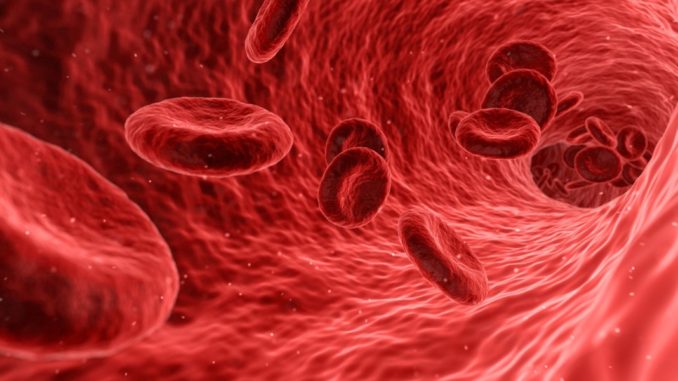 Primo Soccorso Cardiologico per Adulti e Bambini, ad Assisi