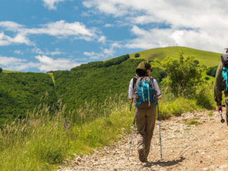 Presentazione dati cammino di Francesco e nuova connessione Basilica