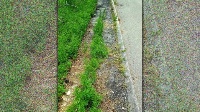 Il degrado di via Enzo Tortora a Santa Maria degli Angeli