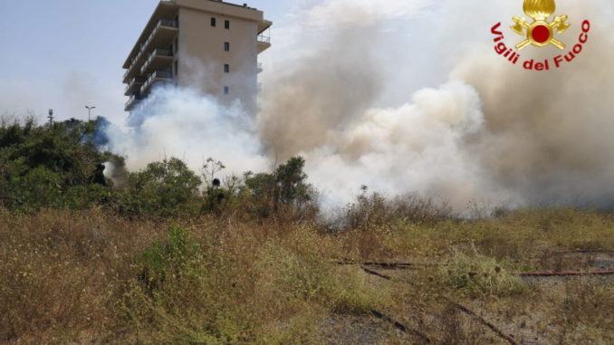Incendi: obbligo rimozione vegetazione secca terreni privati