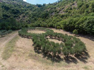 Giornata del Panorama, 15 settembre, anche al Bosco di San Francesco