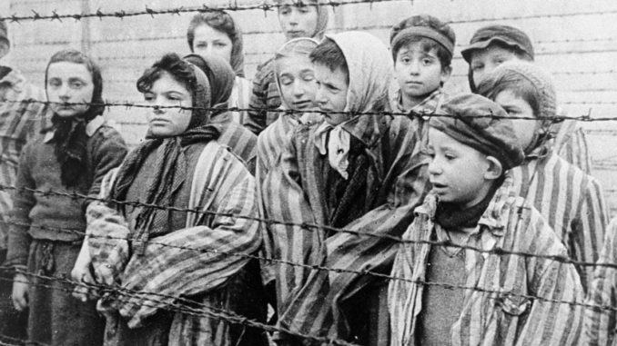 Giorno della memoria Mille passi oltre il filo, pensieri da Auschwitz