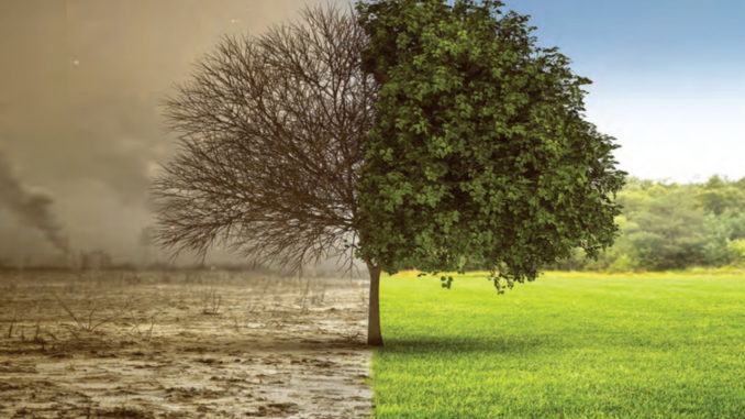  Progettare per il Pianeta - Planet Life Design al Il Cortile di Francesco