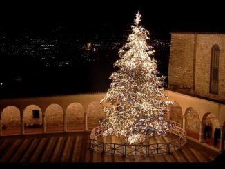 Assisi, 8 dicembre accensione e benedizione albero e presepe Basilica san Francesco