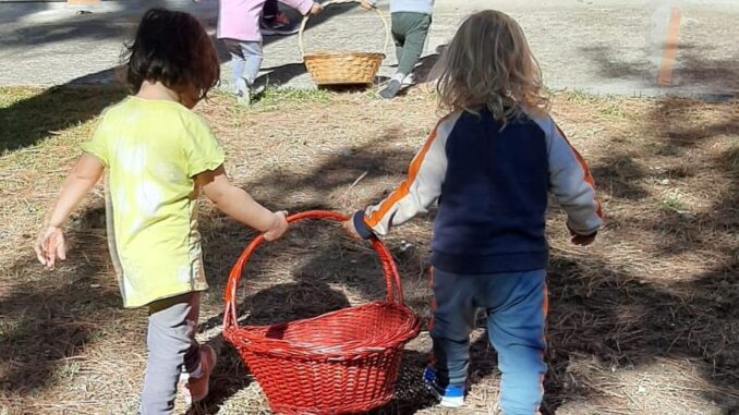 A Petrignano di Assisi piccoli viticoltori crescono