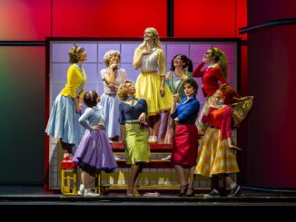 Arriva il musical Grease al Lyrigk di Assisi regia di Saverio Marconi