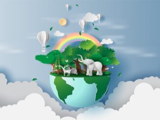 Assisi, un messaggio di impegno per la difesa dell'ambiente