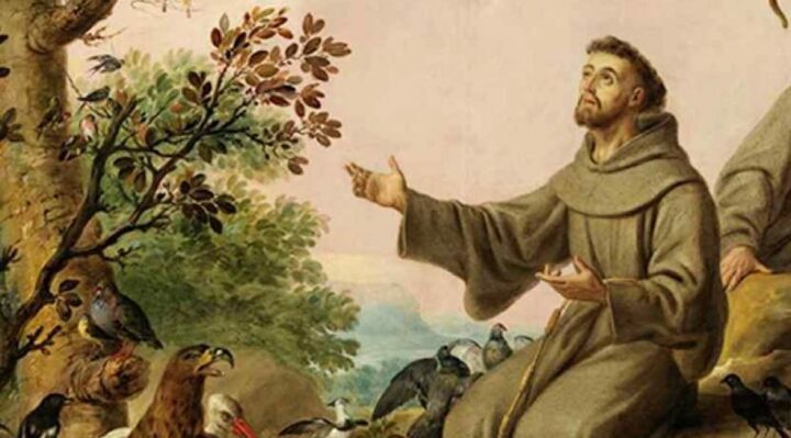 800 anni dalle stimmate di San Francesco d'Assisi. Incontro