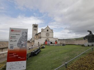 Cortile di Francesco: Sociale, Accessibilità e Ambiente al Centro