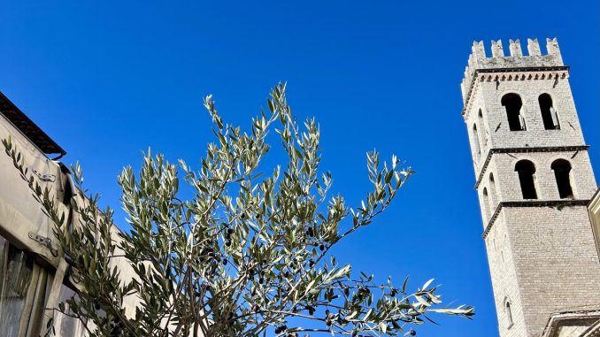 Unto 2025 ad Assisi, avviso per mostra mercato locale Unto 2025 ad Assisi, avviso per mostra mercato locale