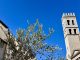 Unto 2025 ad Assisi, avviso per mostra mercato locale