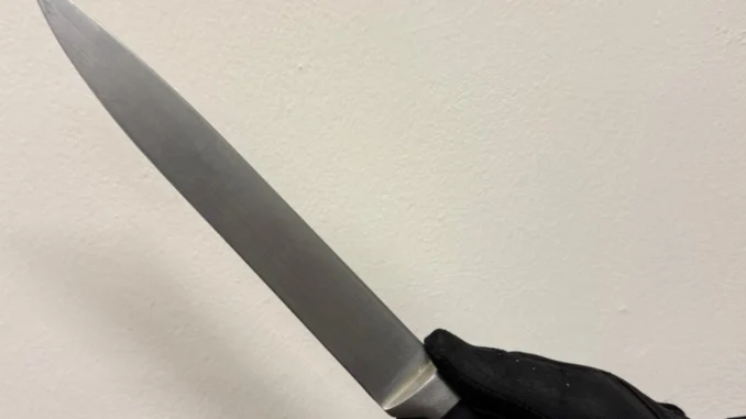 Intervento decisivo della Polizia di Stato nell’abitazione a Perugia