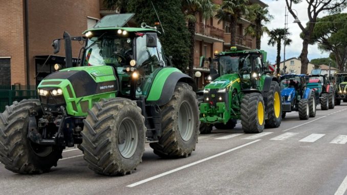 Festa degli Agricoltori, Assisi celebra tradizione e solidarietà nel 2026