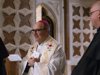 Accrocca guida Assisi: storia e spiritualità francescana