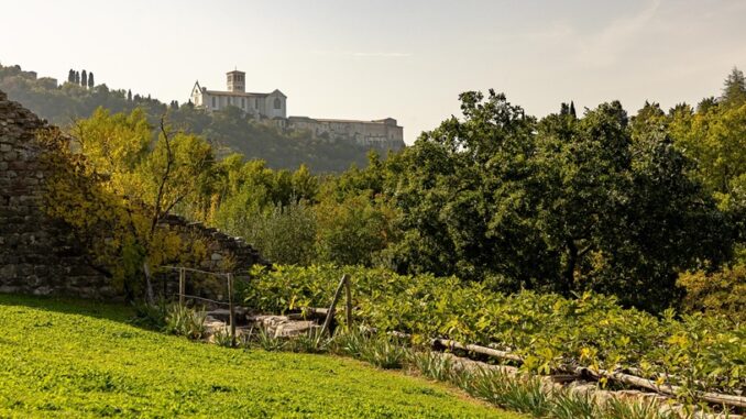 Herbatica ad Assisi svela i segreti naturali delle erbe FAI