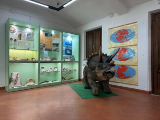 Subasio paleontologia rinnova la sua esposizione permanente