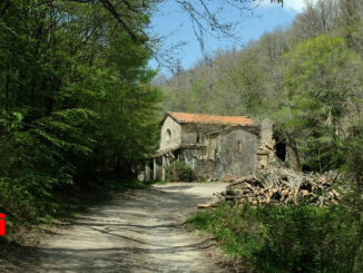 Frana ad Assisi blocca la strada per il santuario dei Tre Fossi