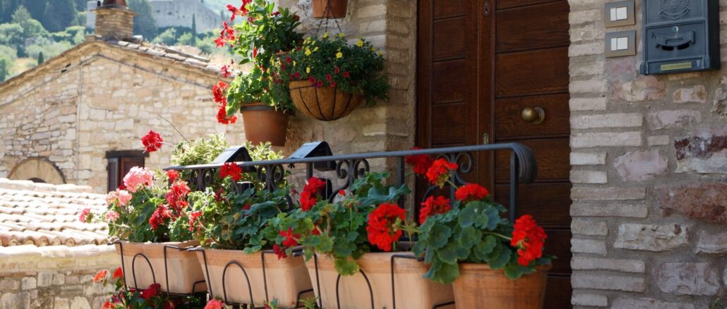 Assisi in fiore 2026, via ai concorsi per balconi e infiorate