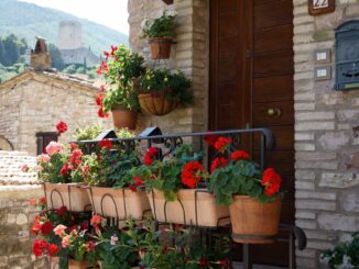 Assisi in fiore 2026, via ai concorsi per balconi e infiorate