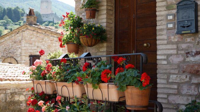 Assisi in fiore 2026, via ai concorsi per balconi e infiorate
