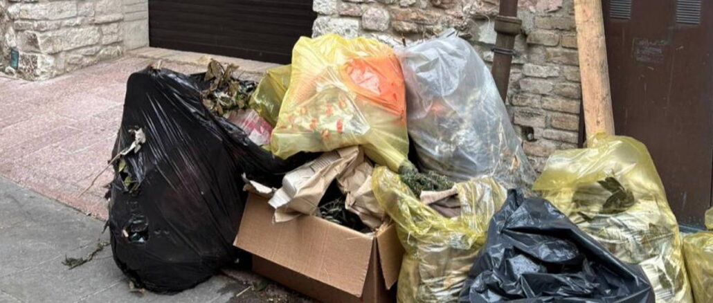 Rifiuti abbandonati in centro storico, Fasulo chiede intervento urgente