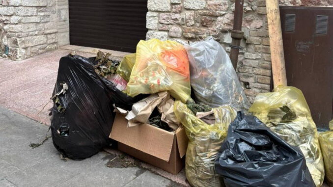 Rifiuti abbandonati in centro storico, Fasulo chiede intervento urgente