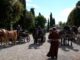 Viaggio paradriving Umbria tra i luoghi di San Francesco